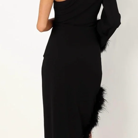 Petal & Pup Asymmetrical Midi Dress with Feather Trim - Picture 2 of 2